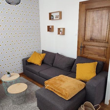 Confortable Appartement Au Centre De Sélestat Εξωτερικό φωτογραφία